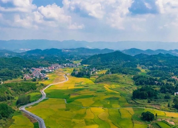 加快建設(shè)農(nóng)業(yè)強(qiáng)國，新儀持續(xù)注入力量！